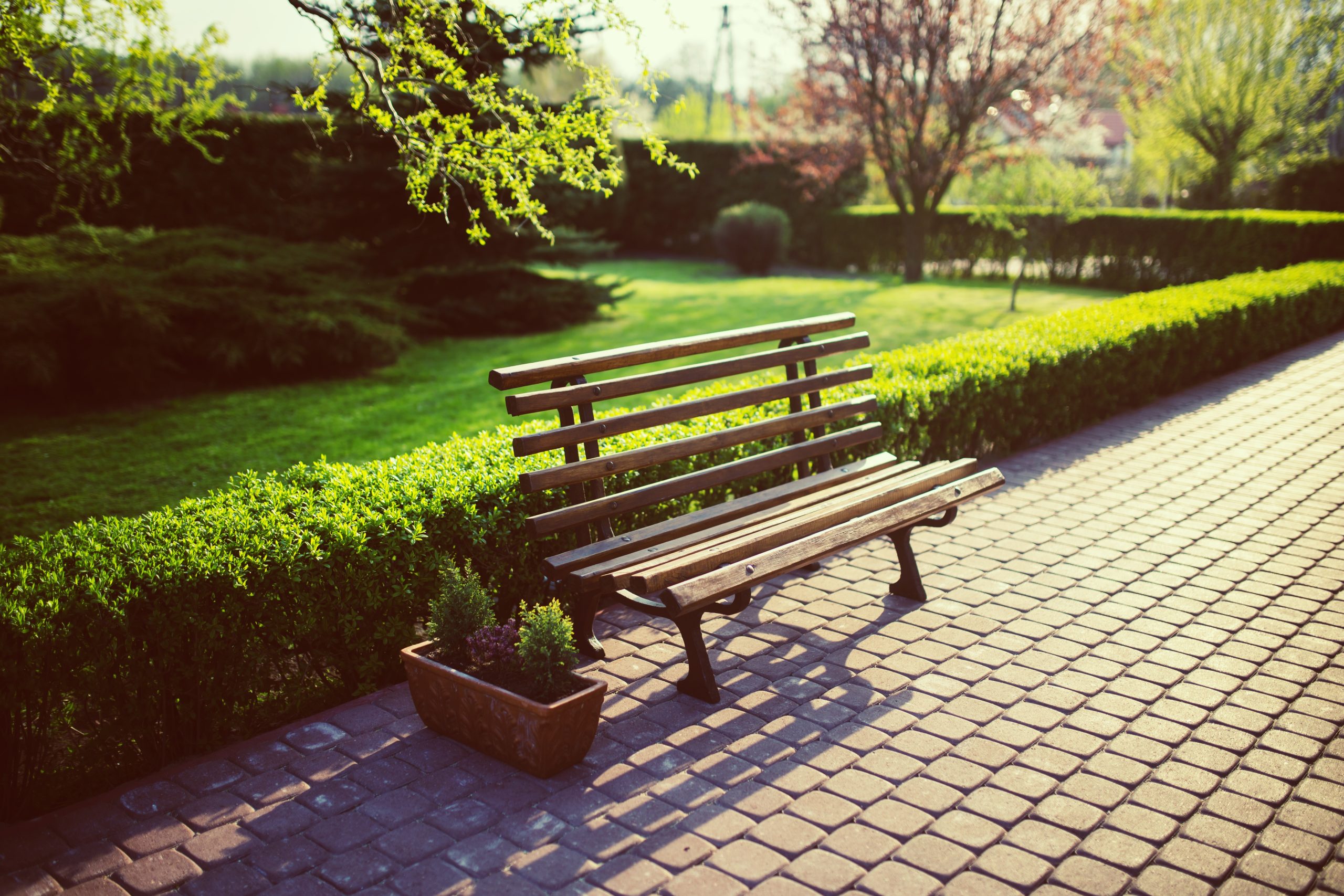 wooden-bench-park
